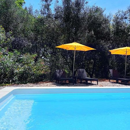 Chalet "Le Petit Olivier" Gites Appart 'Hotel L'Echappee Belle D'Aubenas Logement 2 Sur 3 Eksteriør billede